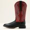 Ariat Round Up W Toe woman Western stvle, black deertan