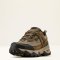  Ariat Ladies Traverse Low Waterproof Hiking Shoe