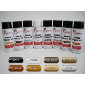 Shapleys Show Touch Up Color