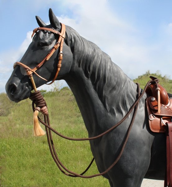 Hackamore Set - Bosal