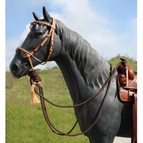 Hackamore Set - Bosal