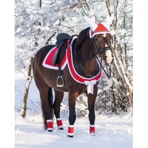 QHP Jule Fort�j med Sl�jfe