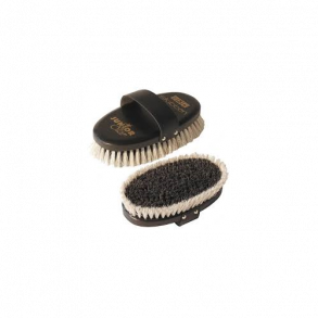 Stbben junior star Brste