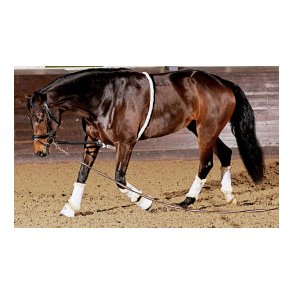 HG Longerings hjlp Soft