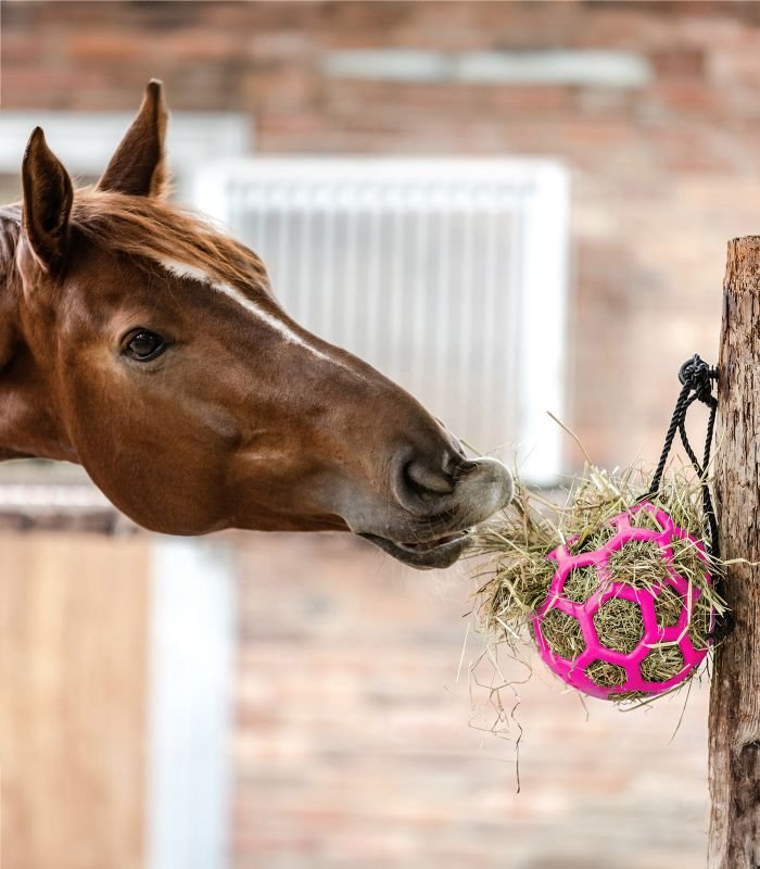 Waldhausen hay ball