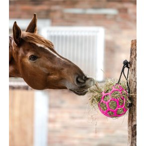 Waldhausen hay ball