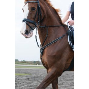 Catago fortj m. Martingal sort Pony