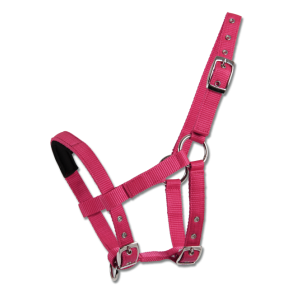 Waldhausen grime mini shet azalea pink