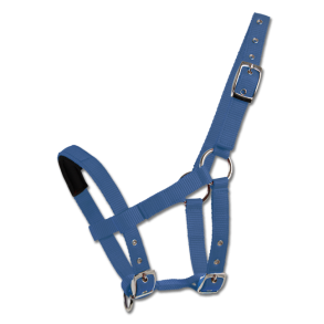 Waldhausen grime mini shet  Azure bl