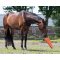 QHP Hesteleget�j XL