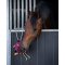 QHP Leget�jsbold - Pink