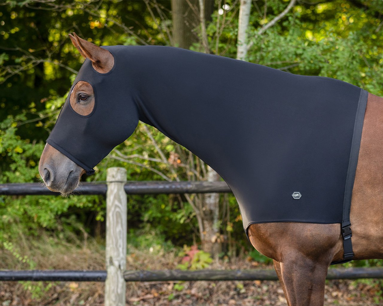 QHP Hood med Lynl�s