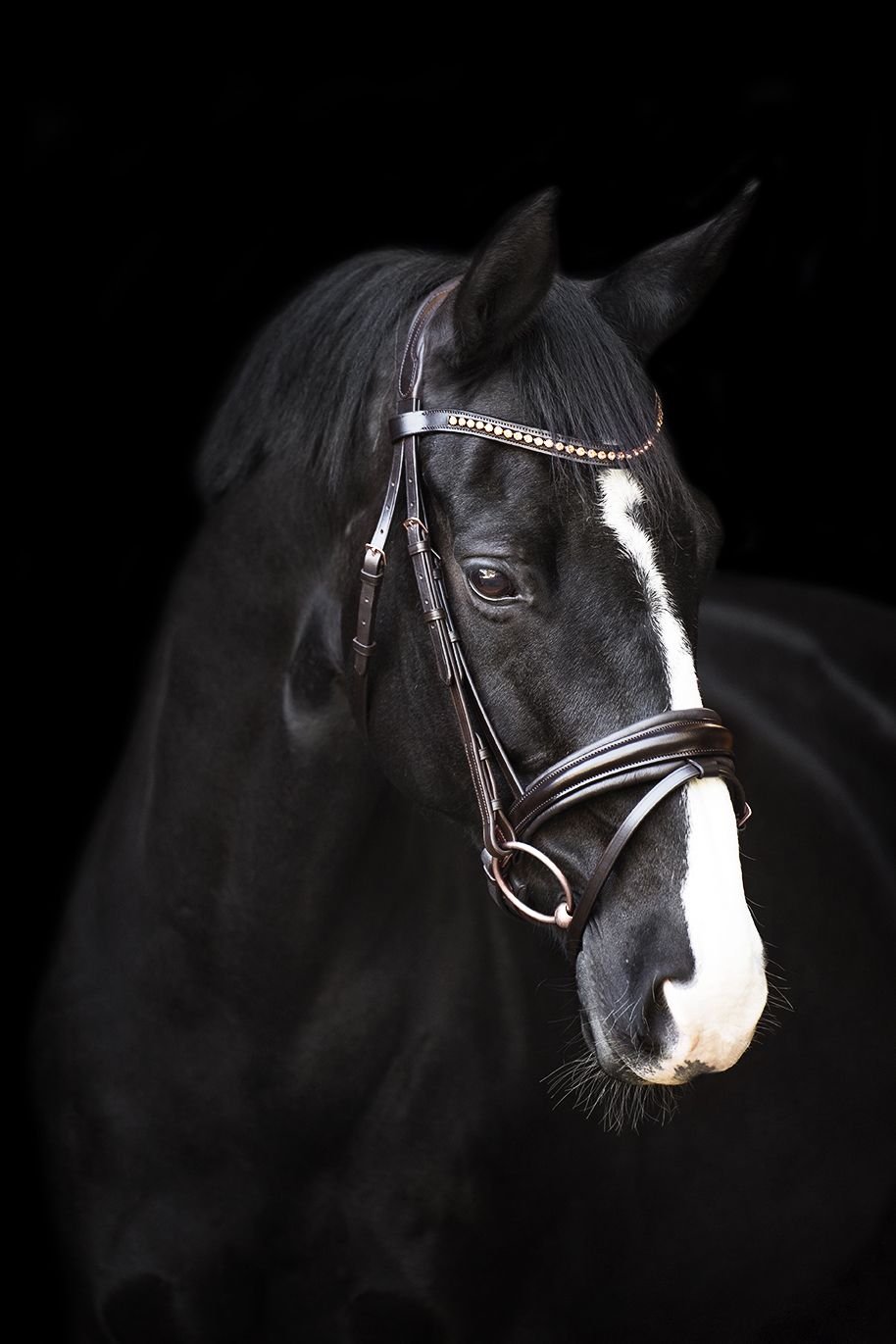 Imperial Riding Fria Trense Brun med Rosegold