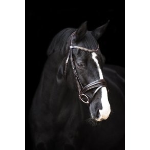 Imperial Riding Fria Trense Brun med Rosegold