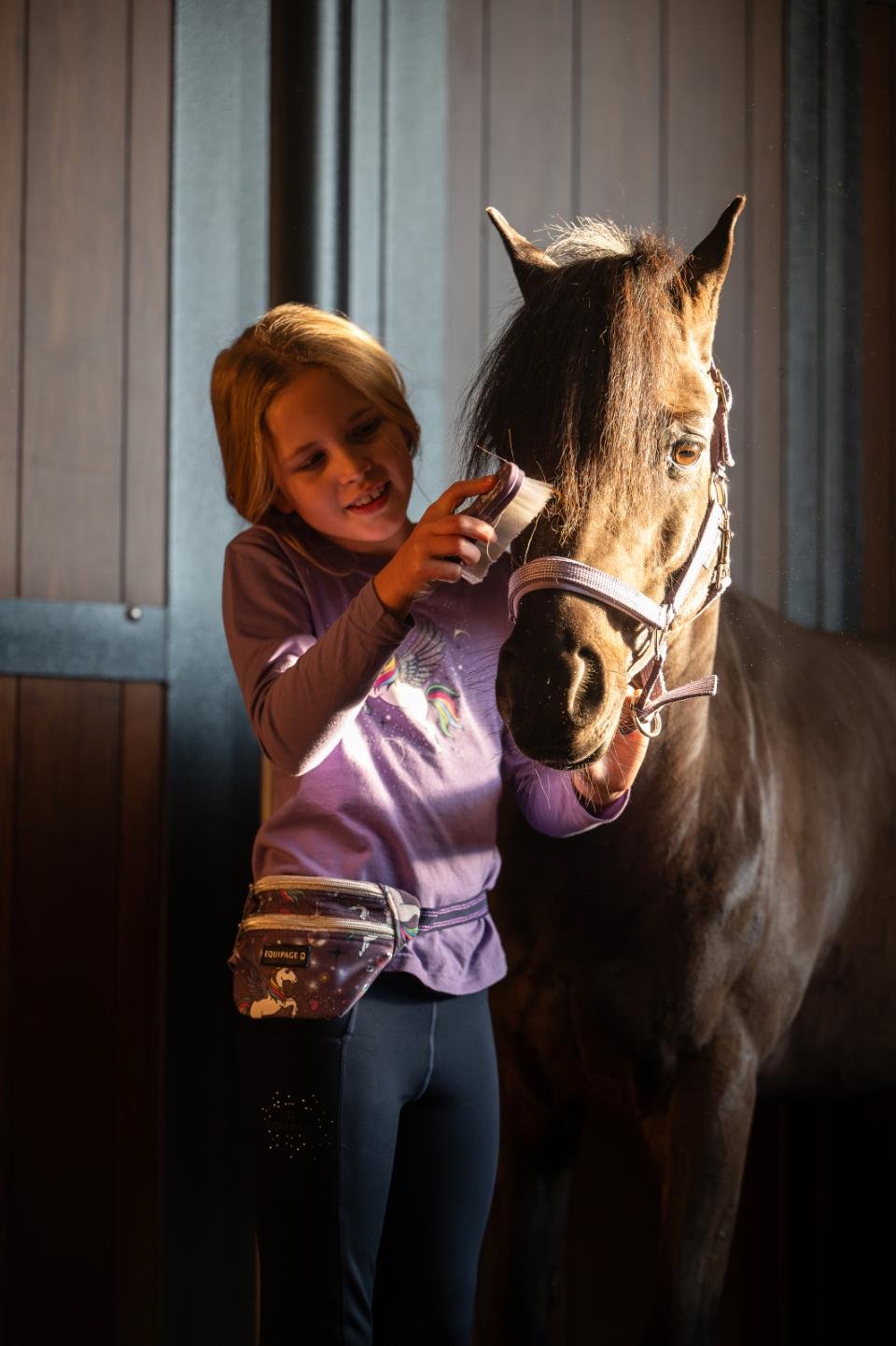 HorseGuard hovedbrste