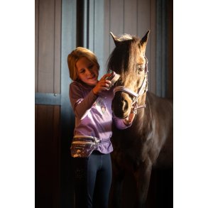 HorseGuard hovedbrste