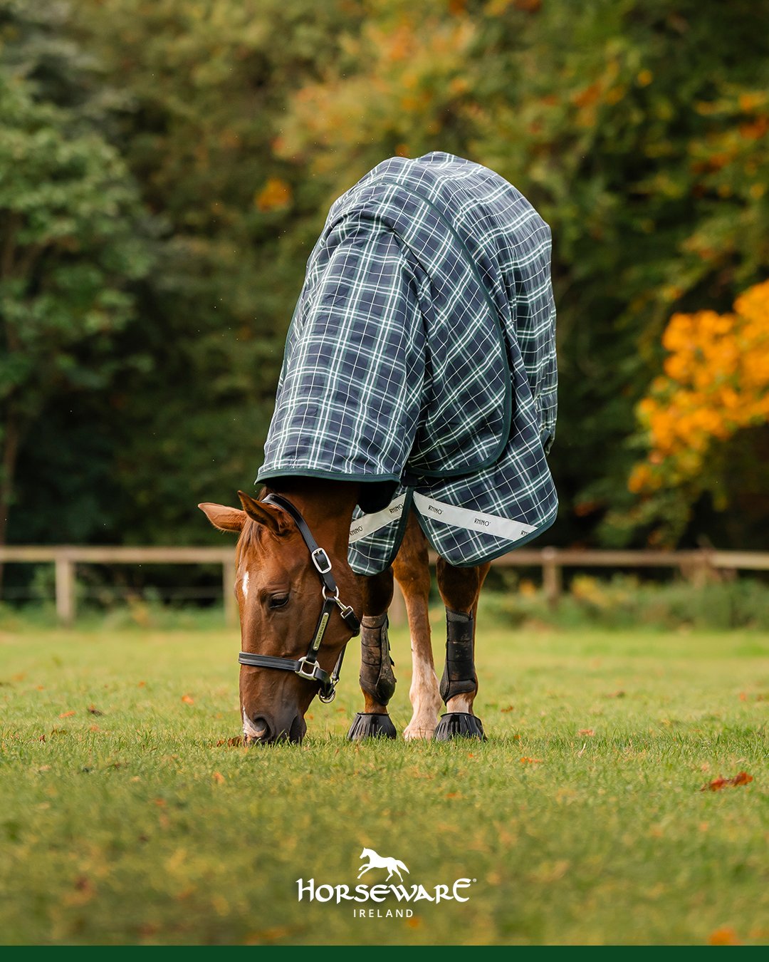 Rhino Plus Turnout Light