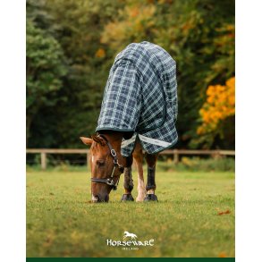 Rhino Plus Turnout Light