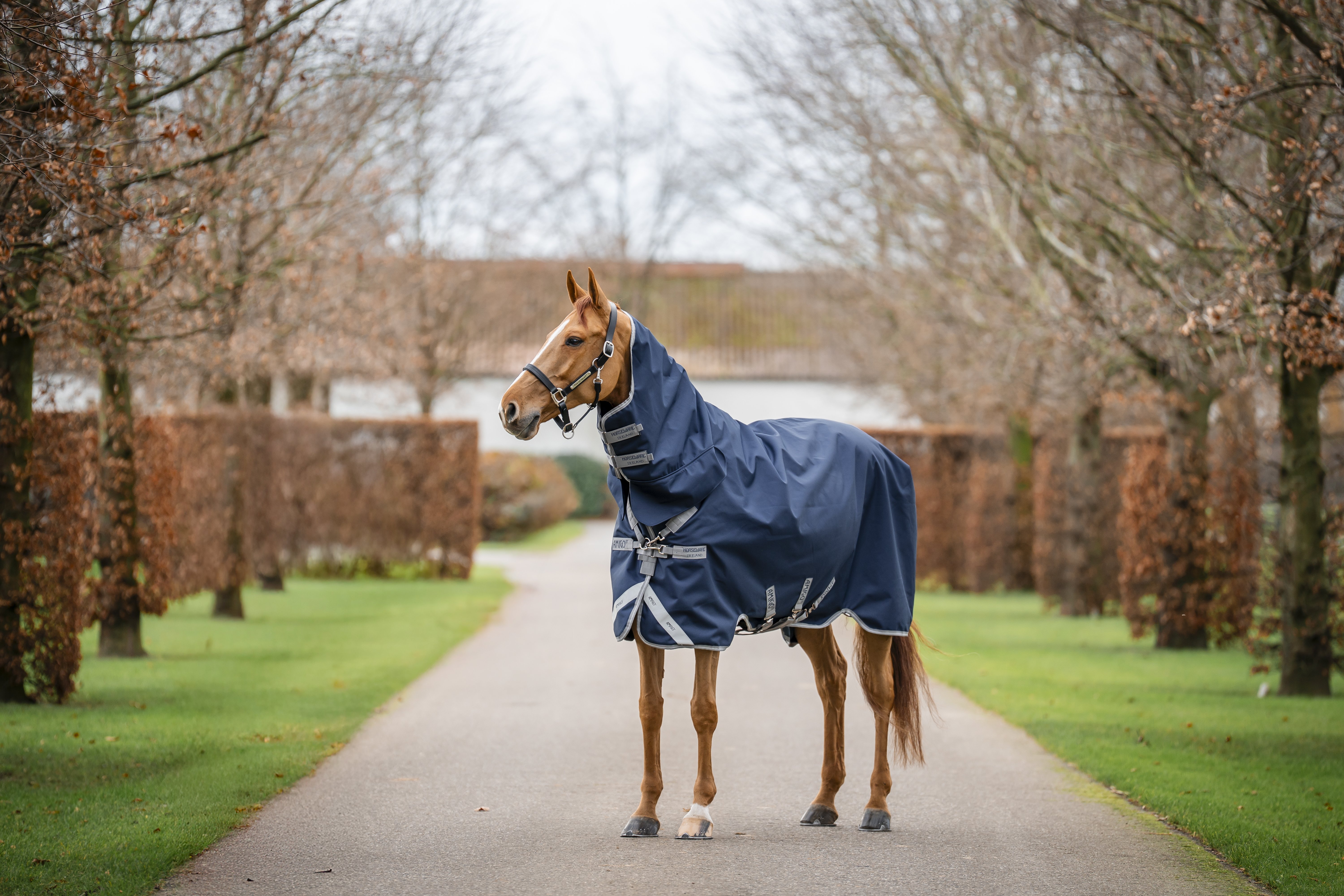 Amigo 1200D integrated Turnout 0 gram