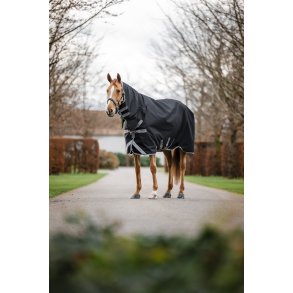 Amigo 1200D integrated Turnout 50 gram