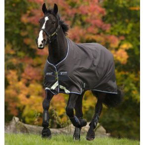 Amigo Bravo 12 Original - 100 g