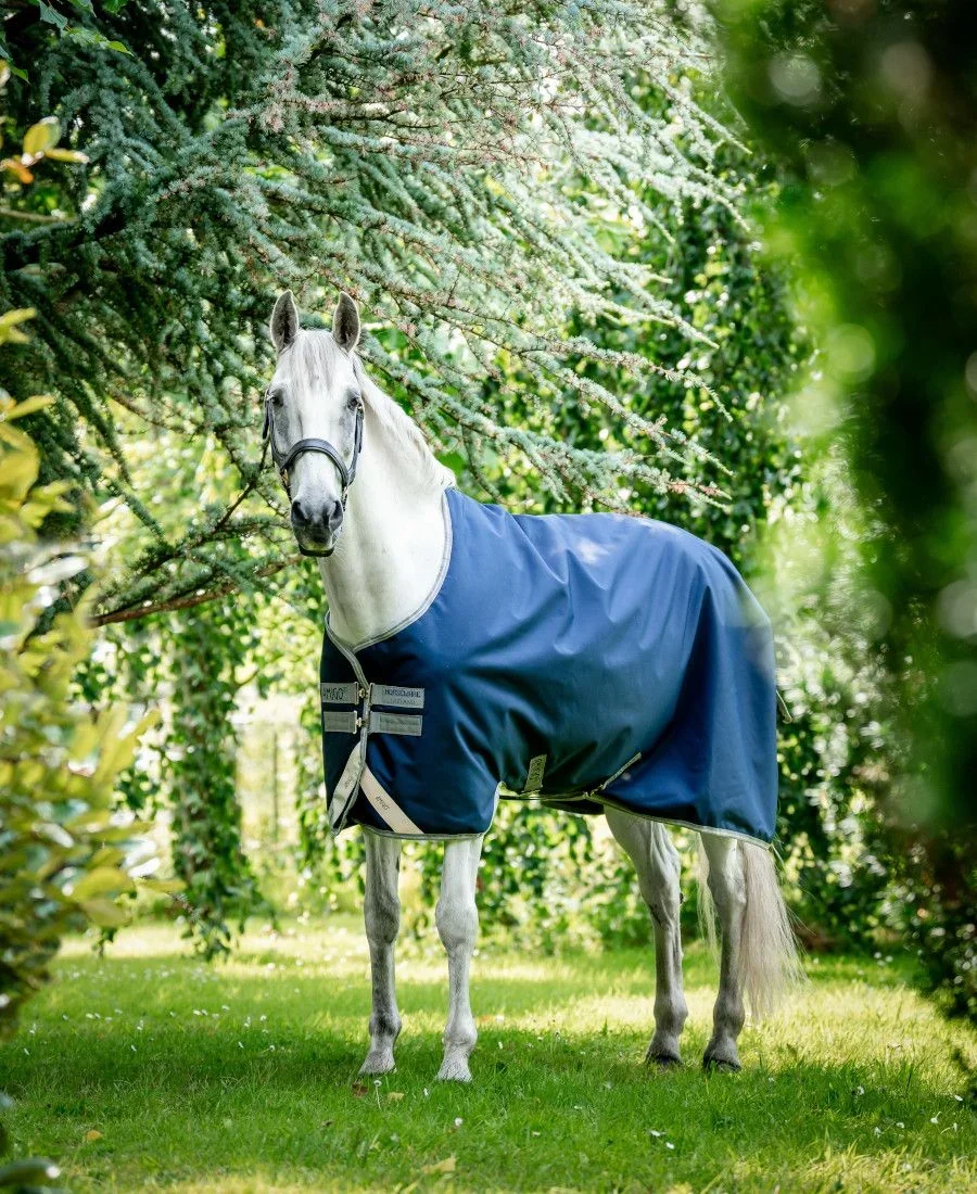 Amigo Bravo 12 Turnout medium