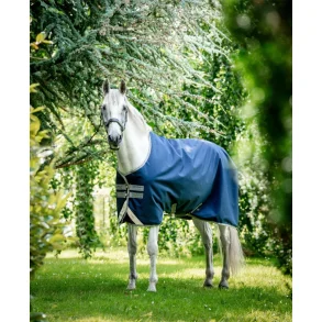 Amigo Bravo 12 Turnout medium