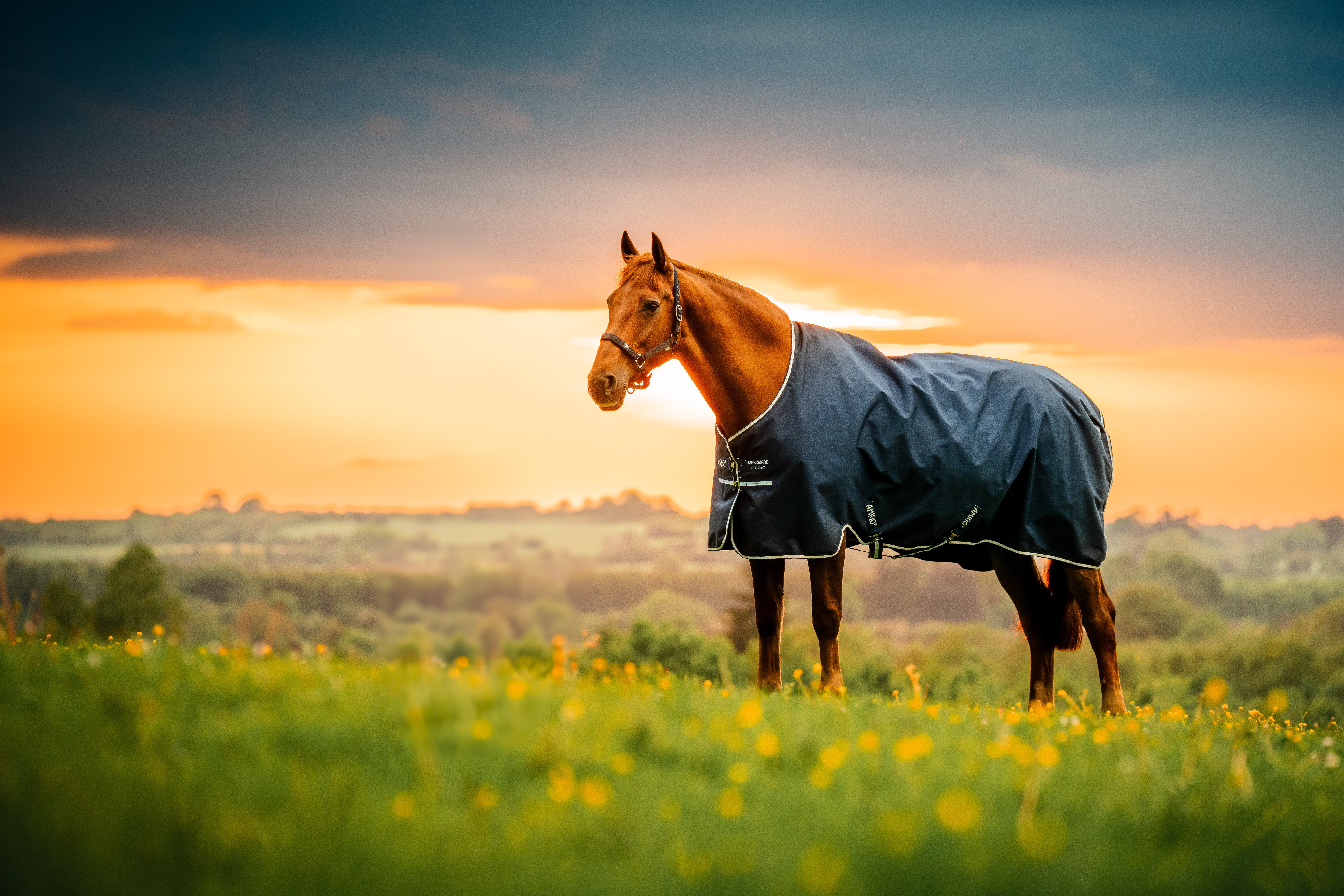 Amigo Ripstop 900D Turnout 50 gram