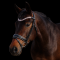 SD Design Action Bridle Black/Rosegold