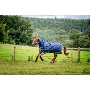 Amigo Bravo 12 plus heavy