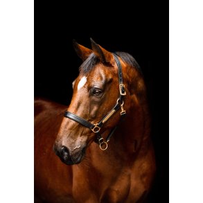 Amigo Padded Lder Grime Sort