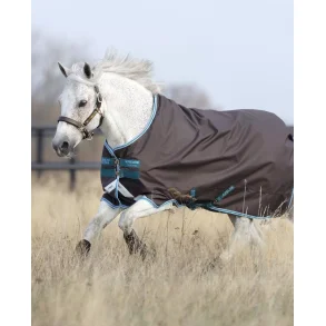 Amigo Pony Bravo 12 Lite