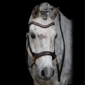 byWeber Austin bidls trense brun/messing