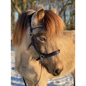 byWeber Austin bidls trense sort/slv