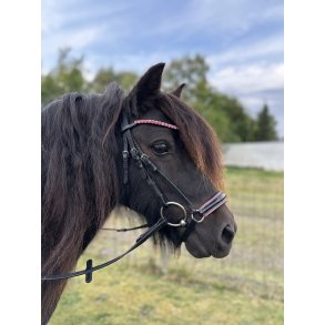 ByWeber Molly trense black/black, 