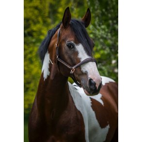 byWeber Soft Ldergrime i  Brun Rosegold