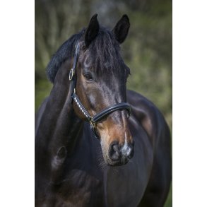 byWeber Ldergrime Caya Sort med Guld