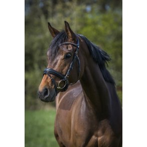 byWeber Charlot trense Rosegold 