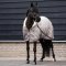 Imperial Riding IRHBandit Showd�kken - Taupe