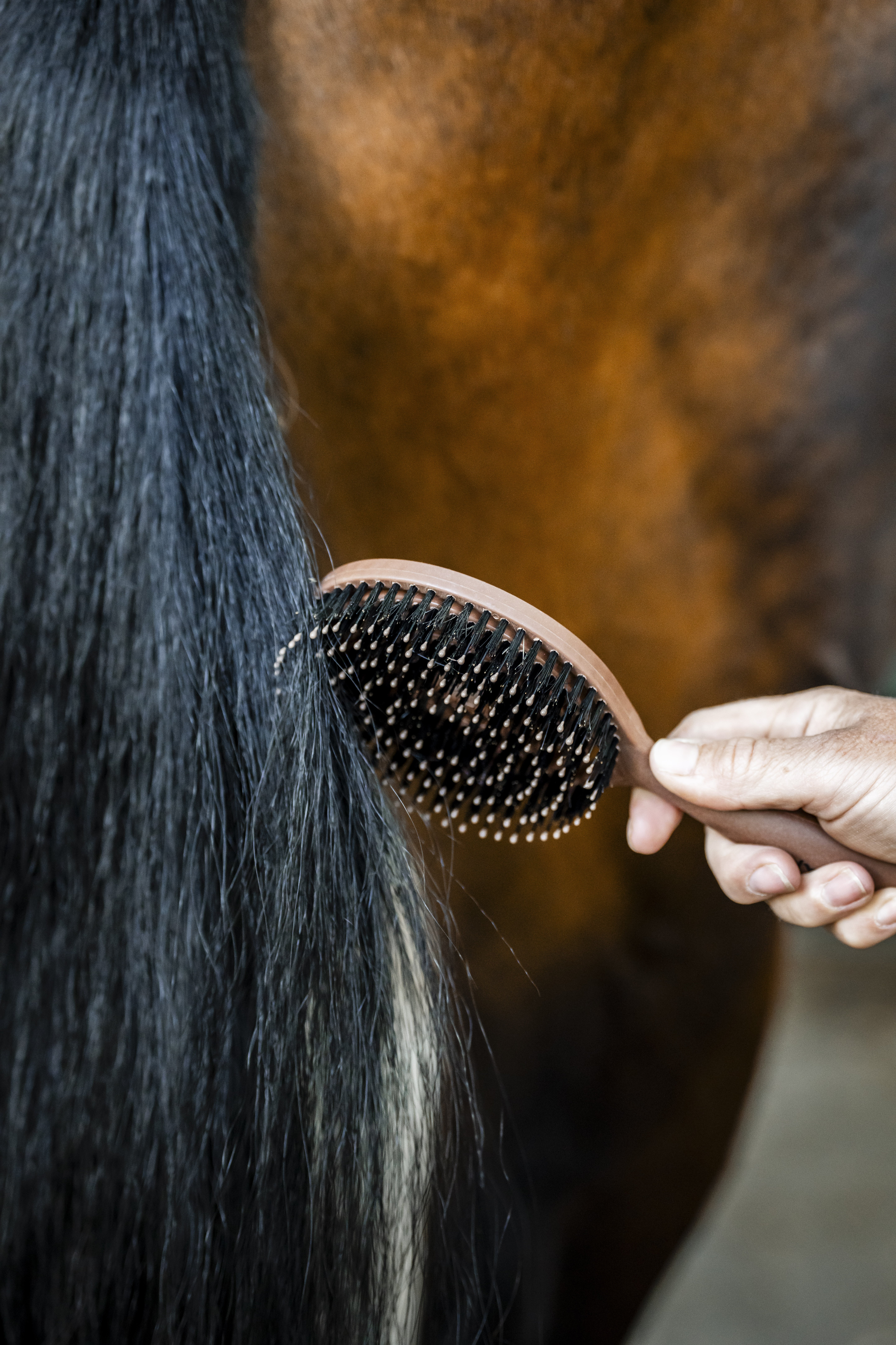 Horseware Signature Mane & Tail Brush