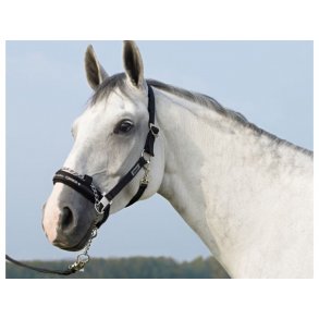 Eskadron Grime med Kde Med sliding buckle Sort