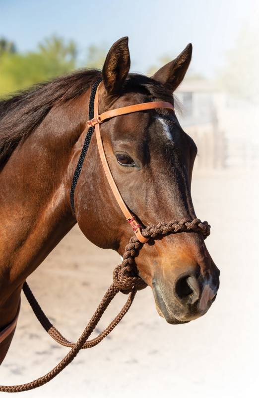 Professinal�s Choice Loping Hackamore