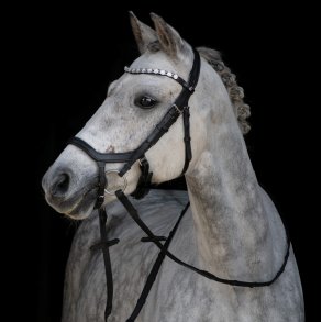 byWeber Gabrille Black Silver trense 