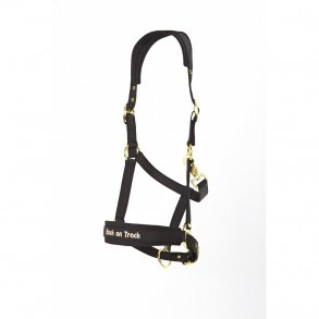 Back on Track Grime Werano