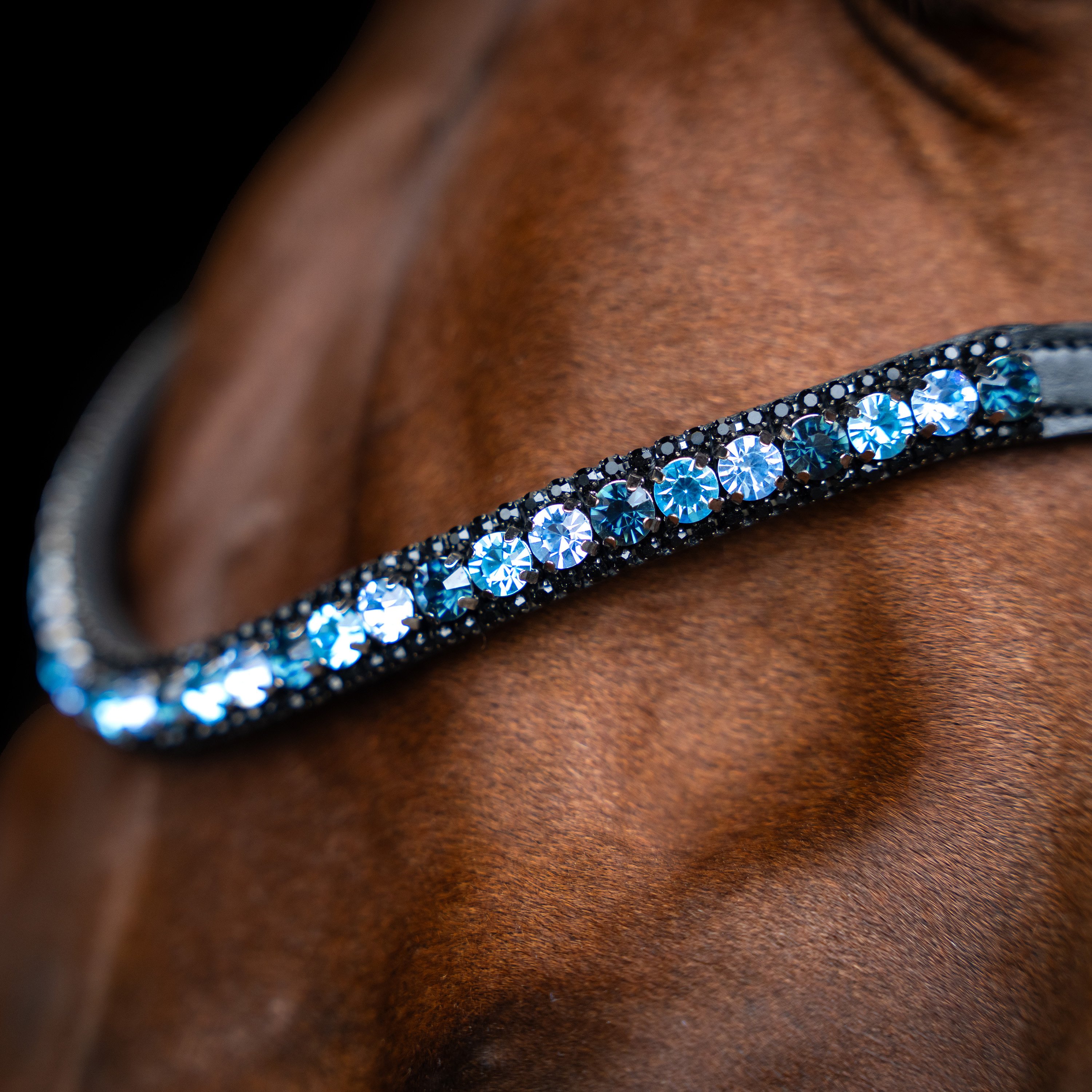 Imperial Riding IRHGrande pandeb�nd - Blue