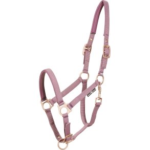 HG Gilma grime dark orchid