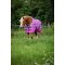 HorseGuard 0 g. 600D dkken med enhjrninger