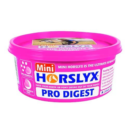 Horslyx Sliksten Pro Digest