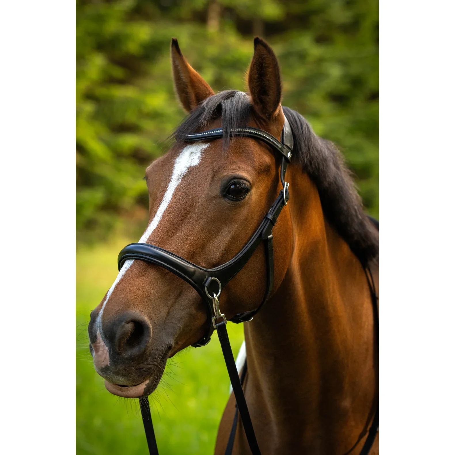 ByWeber Austin Bidl�s Trense Sort/S�lv