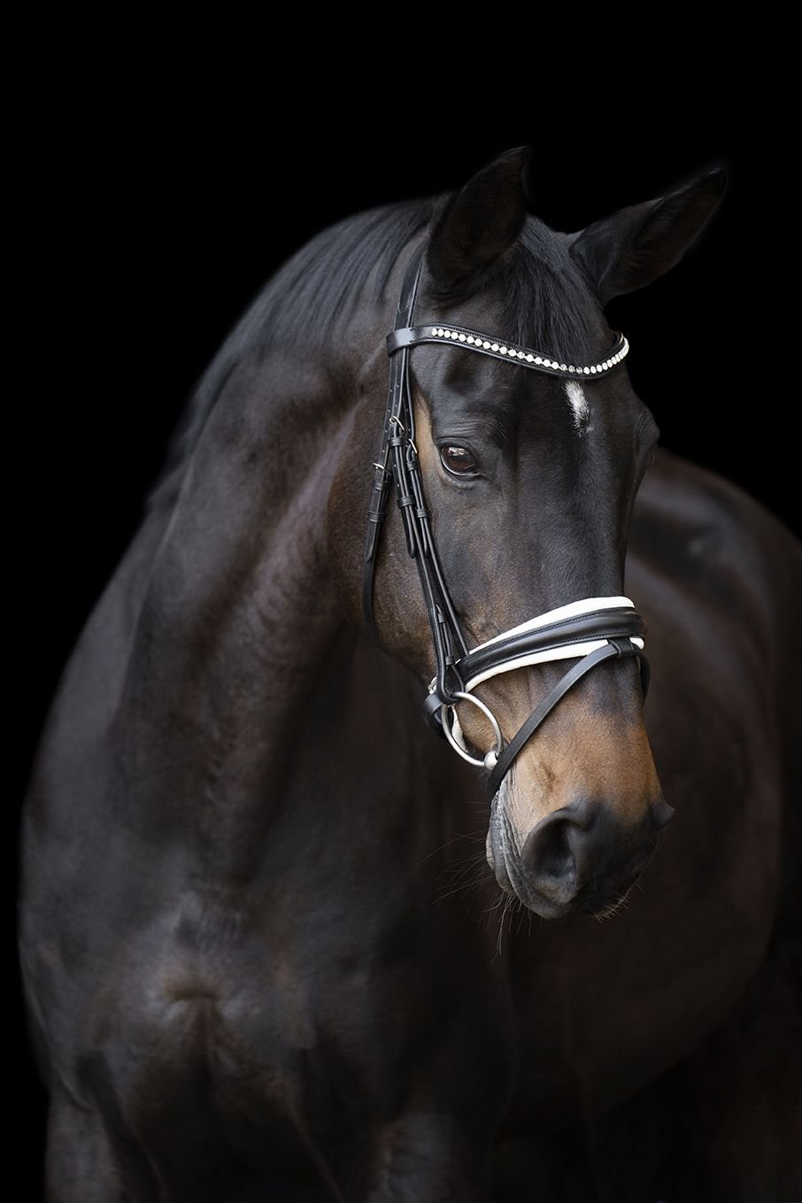 Imperial Riding Fria Trense Sort med hvid Foring